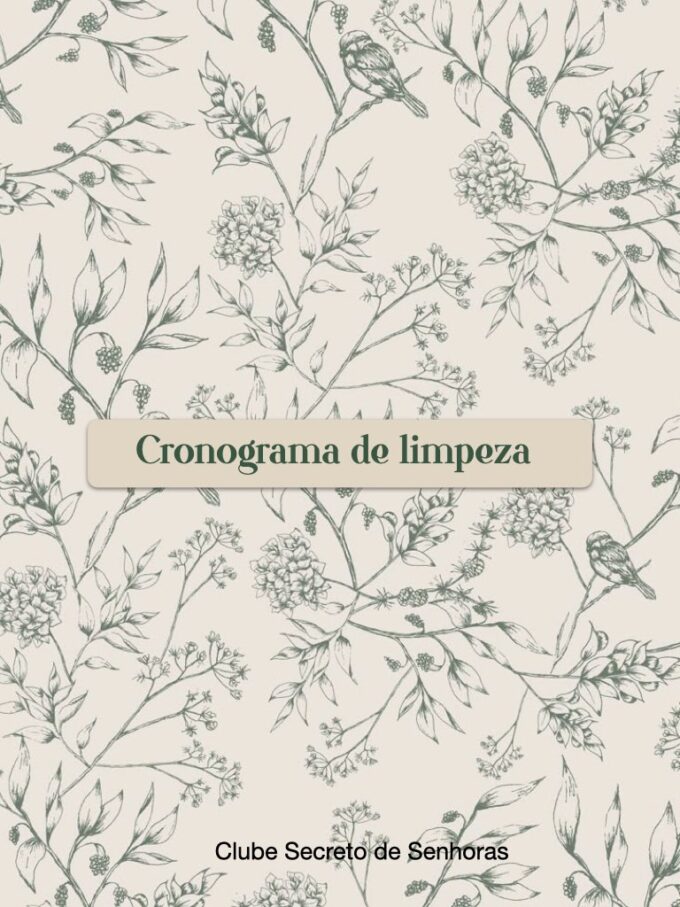 Cronograma de limpeza-Manual da casa ordenada